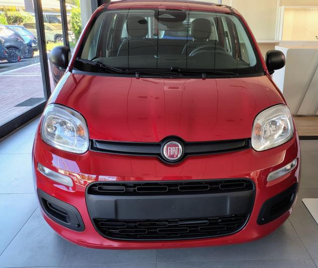 FIAT Panda 1.0 FireFly S&S Hybrid - Foto 3