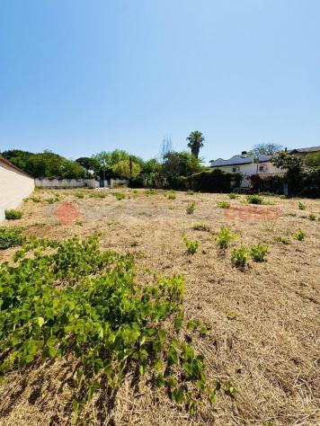 Terreno Agricolo - Terracina . Rif.: Cod. rif 3250892VCG - Foto 14