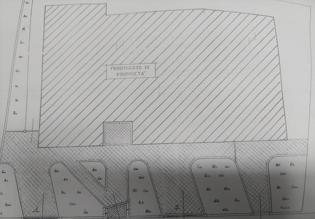 Casa singola in vendita a Castelfranco di Sotto 270 mq Rif: 1412343 - Foto 3