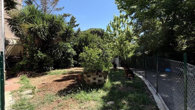 ROMA - Bel Poggio - Foto 16