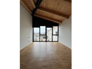 Loft in affitto a Barbarano Mossano