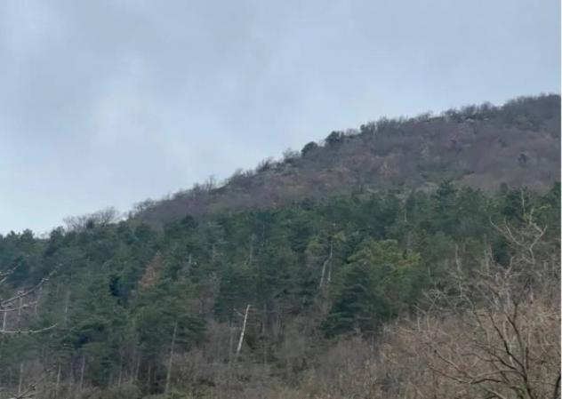 Immobile in asta di 9530 m² in vendita a Fiuminata - Foto 5