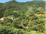 Area verde in vendita a Leivi