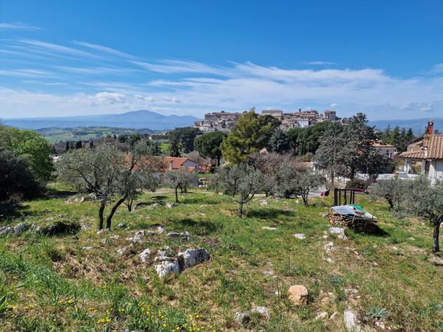 Terreno edificabile in vendita a Lugnano in Teverina