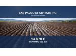 Immobile in asta di 9259 m² in vendita a San Paolo di Civitate