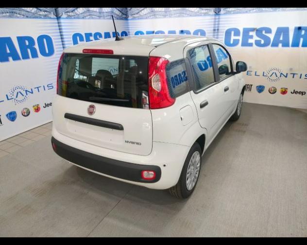 FIAT Panda 1.0 firefly hybrid Icon s&s 70cv 5p.ti rif. 23778993 - Foto 3