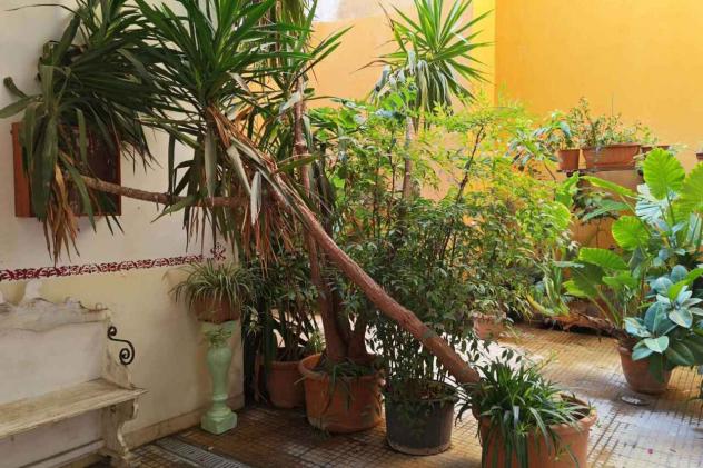 Bilocale in affitto a Roma - Foto 12