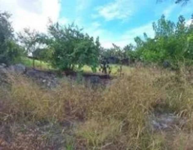 Immobile in asta di 470 m² in vendita a Bovalino - Foto 2
