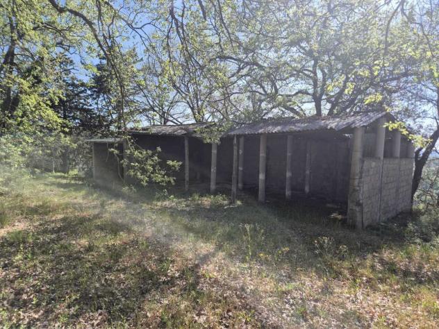 Rustico in vendita a Cinigiano - Foto 9