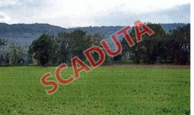 Immobile in asta di 48 m² in vendita a Orte
