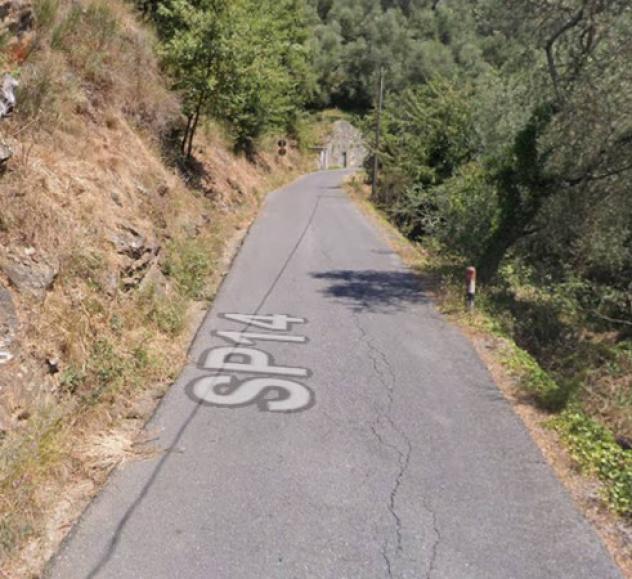 Immobile in asta di 5515 m² in vendita a Ranzo - Foto 2