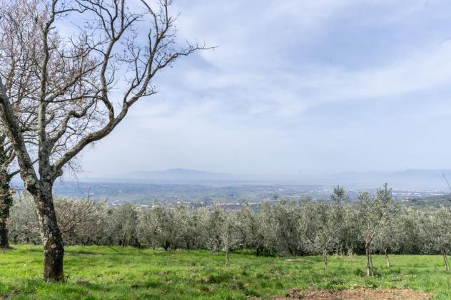 Terreno agricolo in vendita a Vitolini - Vinci 18450 mq Rif: 1399141 - Foto 10