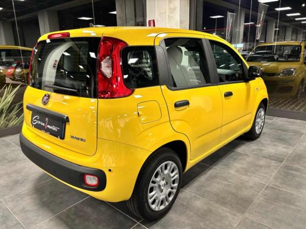 FIAT Panda 1.0 FireFly S&S Hybrid Pop - KM 0 - PREZZO PROMO rif. 22978989 - Foto 3