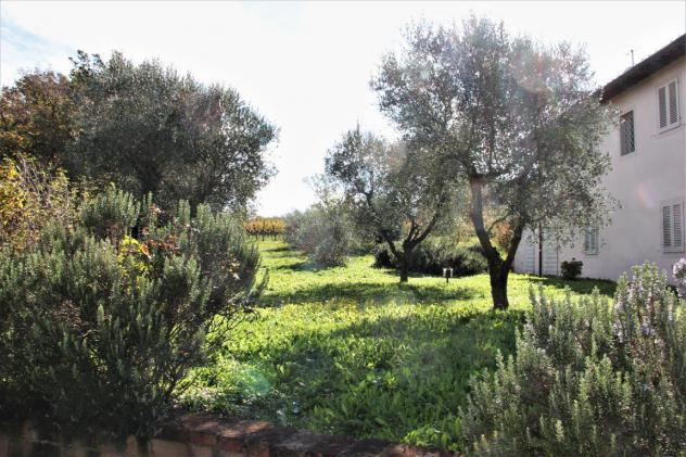Splendido Casale Immerso nel Verde delle Colline Pisane della Valdera - Foto 4