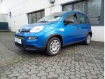 FIAT Panda 1.0 MILD HYBRID MANUALE PANDINA OK NEOPAT. KM ZERO rif. 23681683