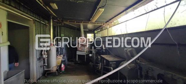 Fabbricati costruiti per esigenze commerciali in vendita a Montignoso - Rif. 3553271