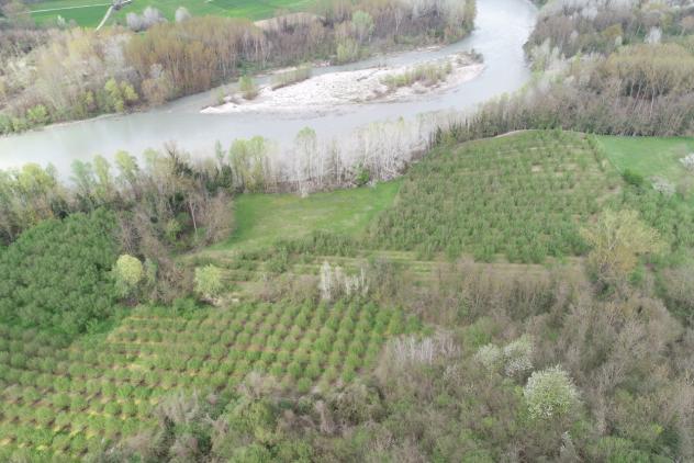 Agricolo in vendita a Cherasco - Foto 20