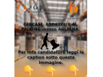 ADDETTI/E AL PICKING