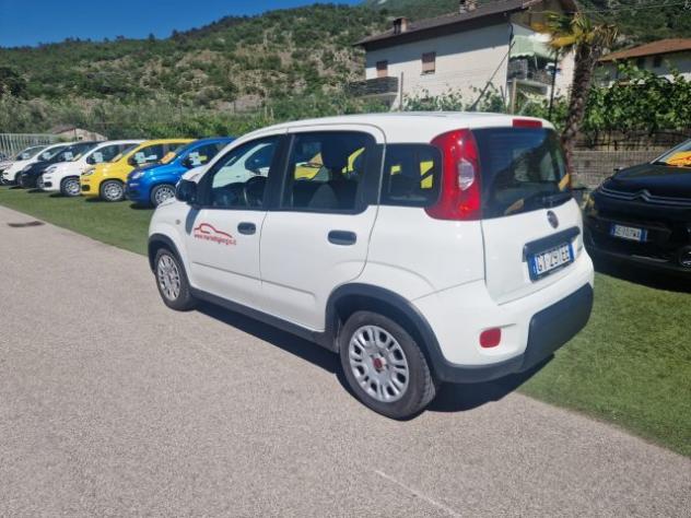 FIAT Panda 1.0 FireFly S&S Hybrid rif. 23632180 - Foto 3