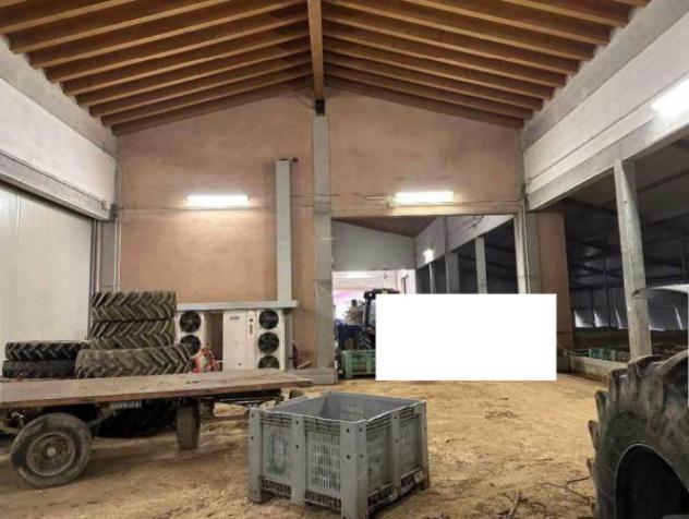 Immobile in asta di 40655 m² in vendita a Morgano - Foto 17
