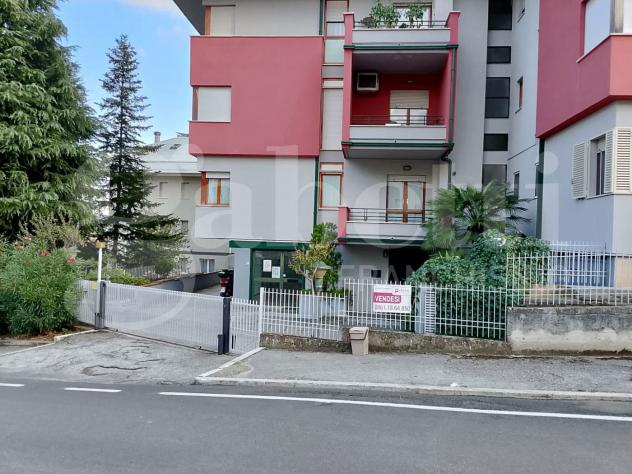 Negozio - Teramo . Rif.: Cod. rif A156VCG