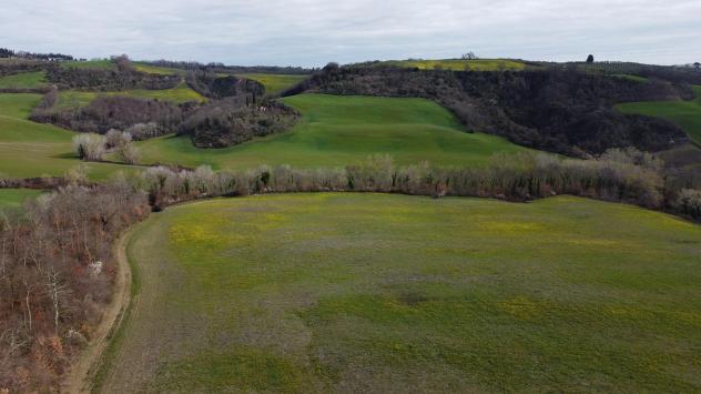 Terreno agricolo in vendita a Asciano 630000 mq Rif: 1083755