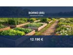 Immobile in asta di 413 m² in vendita a Borno