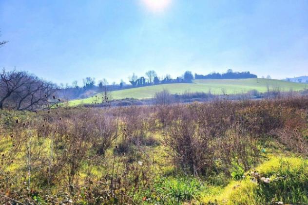 Immobile in asta di 13347 m² in vendita a Montelupone - Foto 10