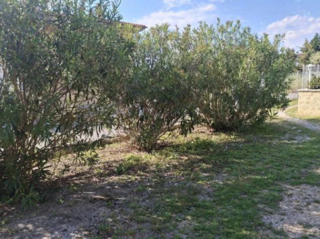 Immobile in asta di 93 m² in vendita a Scarlino - Foto 2