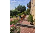 VENDO GRANDI PIANTE DA ESTERNO – ROMA NORD
