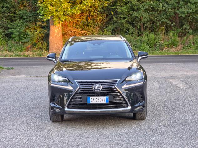 Lexus NX 300h Hybrid 4WD F-Sport E6 Automatico 2020 - Foto 2