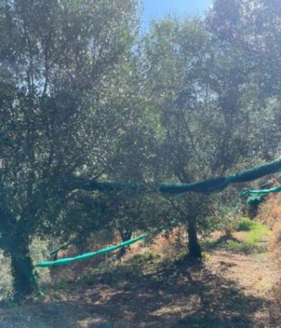 Immobile in asta di 169 m² in vendita a Galatro - Foto 15