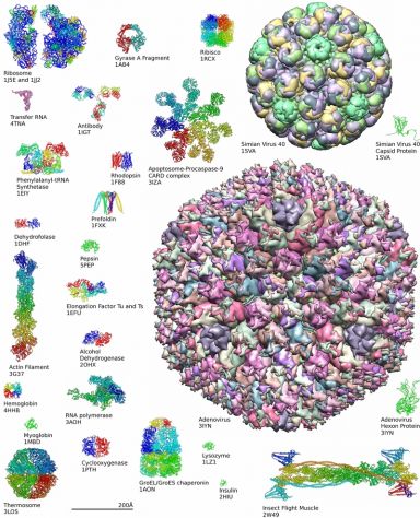 RIPETIZIONI CHIMICA BIOCHIMICA