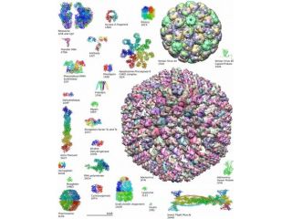 RIPETIZIONI CHIMICA BIOCHIMICA