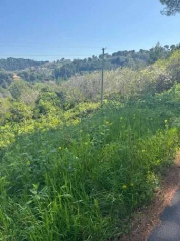 Immobile in asta di 6965 m² in vendita a Montesilvano - Foto 4