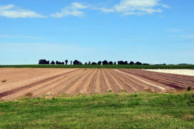 Terreno di 7614 m² in vendita a Novi di Modena