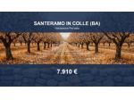 Immobile in asta di 150 m² in vendita a Santeramo in Colle