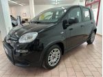 FIAT Panda 1.0 FireFly S&S Hybrid rif. 23621235