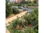 B&B I Girasoli Fioriti