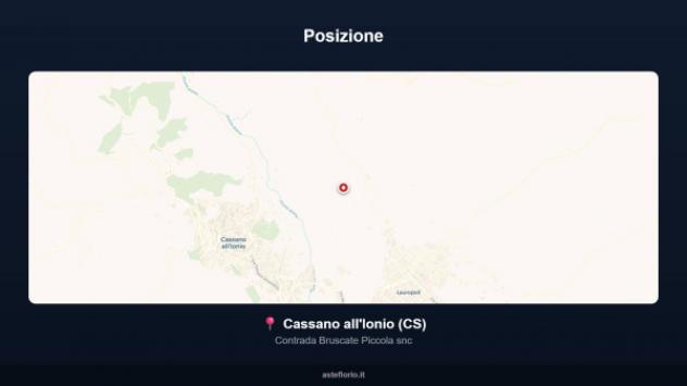 Immobile in asta di 17041 m² in vendita a Cassano all'Ionio - Foto 10