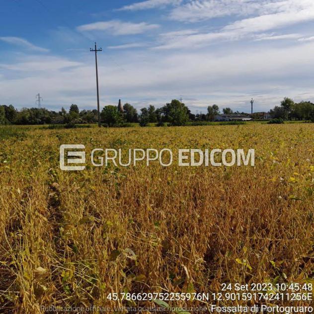 Terreno di 16800 mq in vendita a Fossalta di Portogruaro - Rif. 4551605 - Foto 4