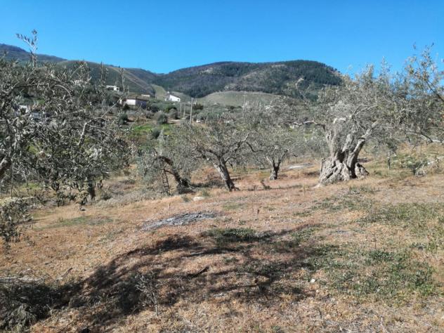 Agricolo in SP126 - Foto 6