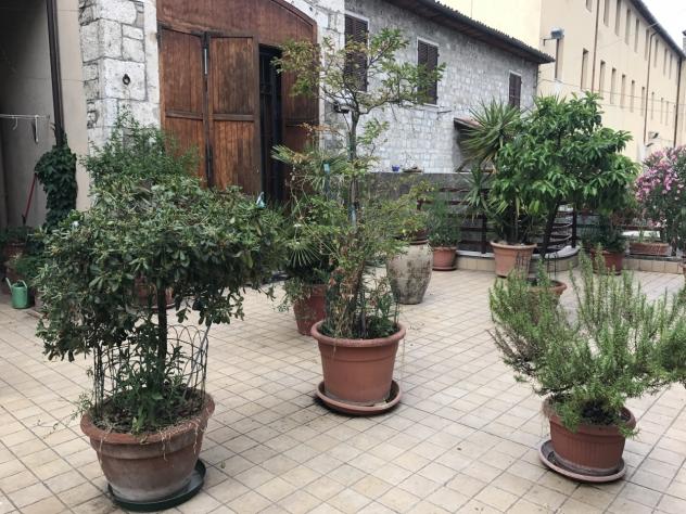 Indipendente in affitto a Ascoli Piceno - Foto 11