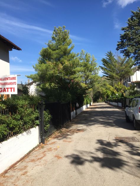 Affittasi casa vacanze in Cilento, immersa del verde - Foto 2