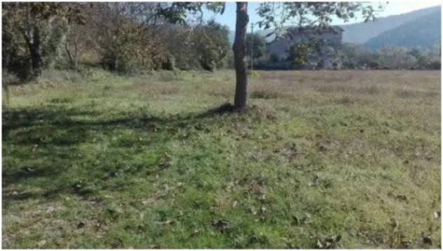 Immobile in asta di 25966 m² in vendita a Acqualagna - Foto 4