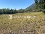 Terreno di 3750 mq  in vendita a Faicchio - Rif. 4550499