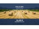 Immobile in asta di 246980 m² in vendita a Follo
