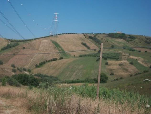 Uliveto in vendita a Lanciano - Foto 9