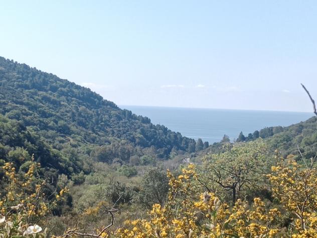 Agricolo in Contrada Macchia di Fiume