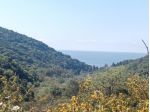 Agricolo in Contrada Macchia di Fiume
